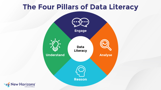 Four Pillars of Data Literacy