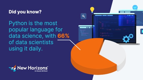 Popularity of Python in Programming