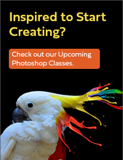 View our upcoming Photoshop classes